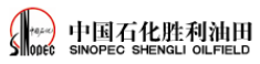 中國石油化工股份有限公司勝利油田分公司勘探開發(fā)研究院石油地質(zhì)測試中心哥倆好新材料股份有限公司檢測實(shí)驗(yàn)室