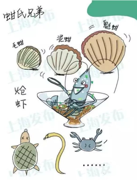 上海市禁止生產銷售毛蚶、熗蝦 季節性禁售醉蝦醉蟹