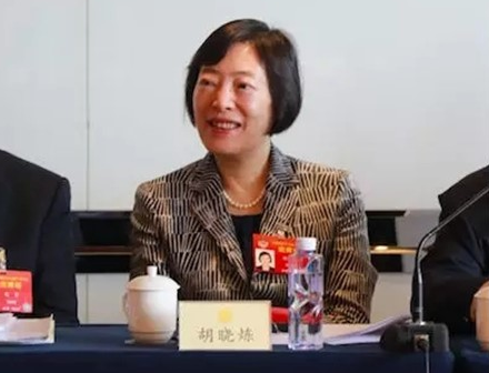胡曉煉：放開市場競爭促進船舶工業高質量發展