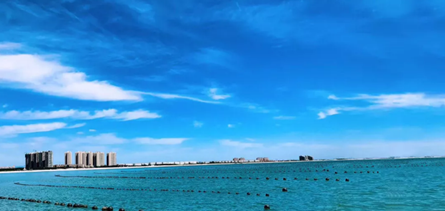 海洋牧場裝備：誰能奏響“海上田園牧歌”？
