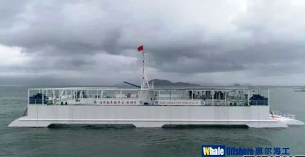 中國首座半潛式波浪能養殖平臺成功試養